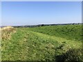 Antonine Wall, Garnhall