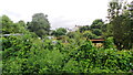 Bull Meadow Allotments