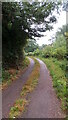 Rookery Lane after the rain