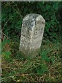 Old Milestone by the A631, Main Road, west of North Willingham