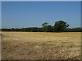 Stubble field off Chester Road