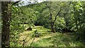 The picnic area next to Afon Dulas