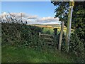 Start of public footpath to Harley