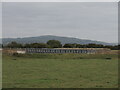 A new bridge for Yeo Bank Farm