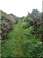 Footpath to Boscawen-ûn