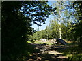 Track and timber stacks, Weethley Wood