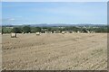 Arable farmland, Llandow