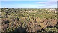 Above the Trees of Ashplats Wood