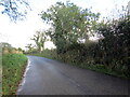 Llwybr yn gadael yr heol / Path exits a road