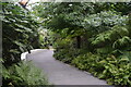 A footpath through Crossrail Place Roof Garden