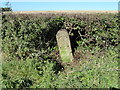 Old Milestone by the B4008, Stroud Green