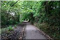 SW7931 : Path through Swanvale Nature Reserve by DS Pugh