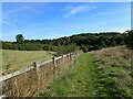 Horsted Valley near Rochester