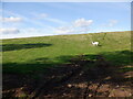 Field, Grangemoor