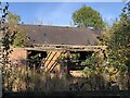 Ruined steading, Spital Hill, Mitford