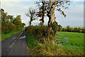 Carryglass Road, Lurganboy