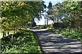 Tree-lined lane at Melkridge Tilery