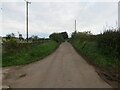 Hedge-lined minor road near Calvertsholm Cottages