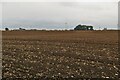 Farmland and wind turbines by Station Road