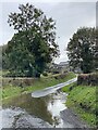 Overflowing stream at Allt y Cordde