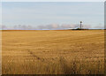 Stubble Field