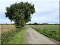 Driveway near Hoopers Farm