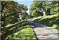 Road climbing on slope above Nant-y-caws Brook