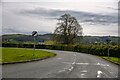 Caersws : Moat Lane