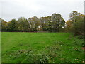 Grass field off Farndon Road