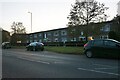 Layer Road, Shrub End