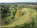 Path down to the former chalk pits