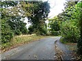 Bend in Guist Road, Foulsham