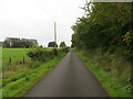 Minor road beside Backkerr Plantation