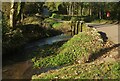 Gatcombe Brook at Afton