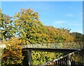 Footbridge over Hempstead Valley Drive