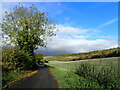 Autumn countryside near Gillingham