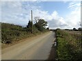 Coltishall Road towards Coltishall