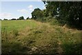 Footpath to Much Hadham