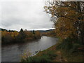 River Dee at Cambus o