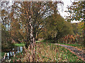 Monkland Canal near Calderbank