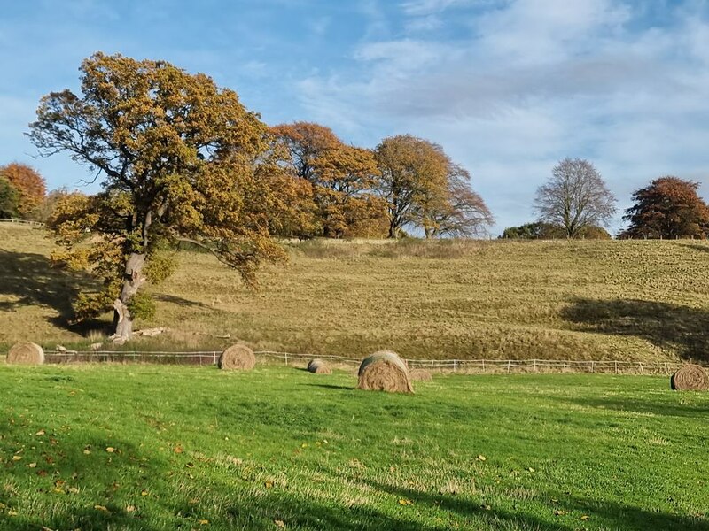 Fields at Easby © Oliver Dixon :: Geograph Britain and Ireland