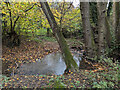 Path crossing unnamed stream in Cressage