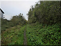 Disused railway line, Great Ryburgh