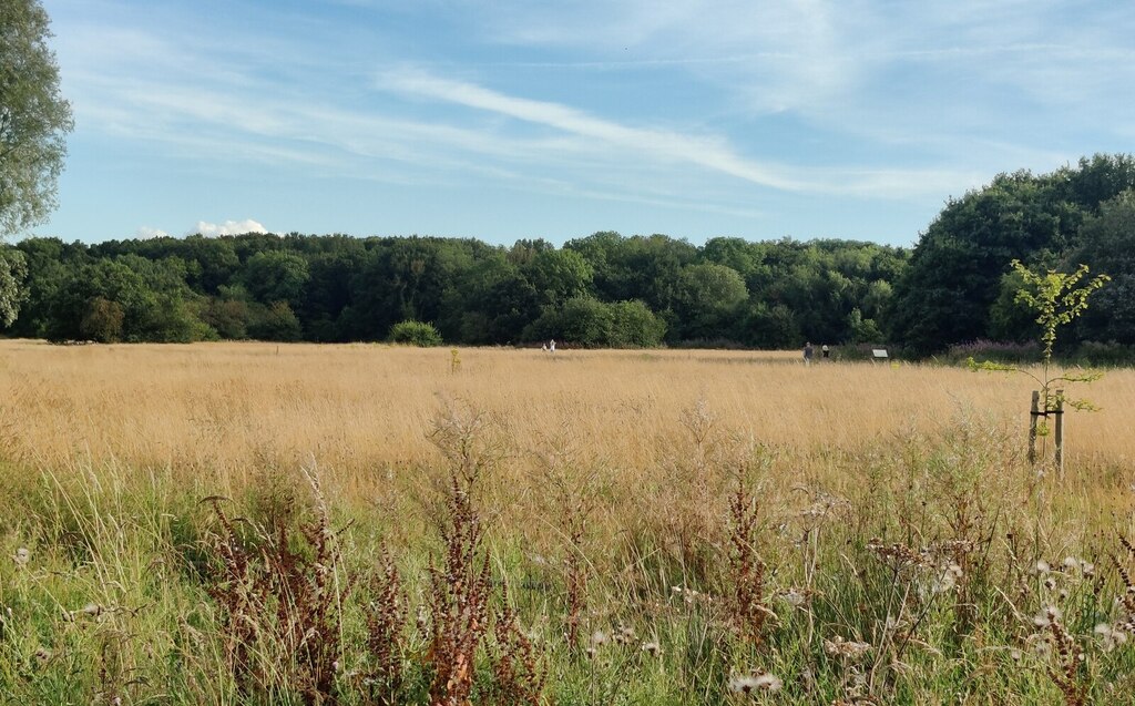 Burbage Common And Woods Country Park © Mat Fascione :: Geograph ...