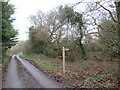 Thatchers Lane, near Bransgore