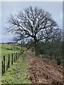 Footpath to Cefn Coed y Cymmer