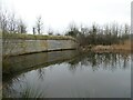 Artificial sand martin nesting bank, Seaton Wetlands