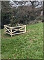 Small Christmas tree in a wooden enclosure, New Inn, Torfaen