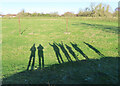 Long Shadows