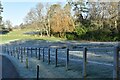 Frosty fence near Longmoor Farm at Cranbury Park